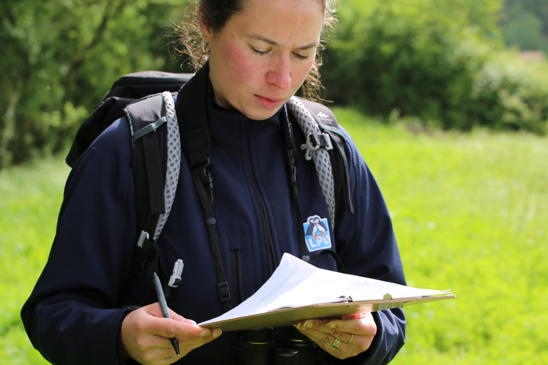 Marion Chargé de la LPO Poitou Charentes